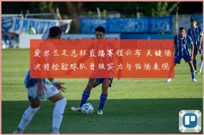 爱尔兰足总杯直播赛程公布 关键场次将检验球队晋级实力与临场表现