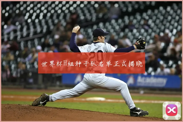 世界杯H组种子队名单正式揭晓