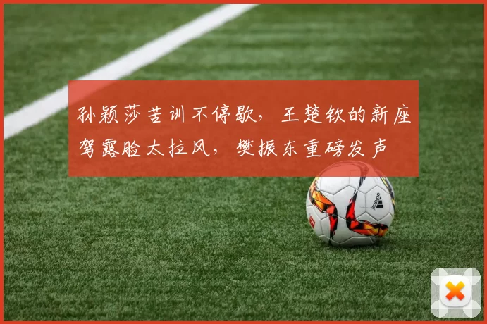 孙颖莎苦训不停歇,王楚钦的新座驾露脸太拉风,樊振东重磅发声