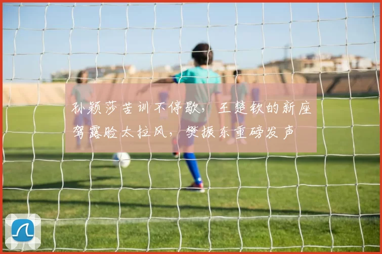 孙颖莎苦训不停歇,王楚钦的新座驾露脸太拉风,樊振东重磅发声